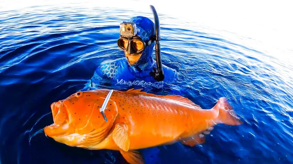 Best Spearfishing YouTube Channel