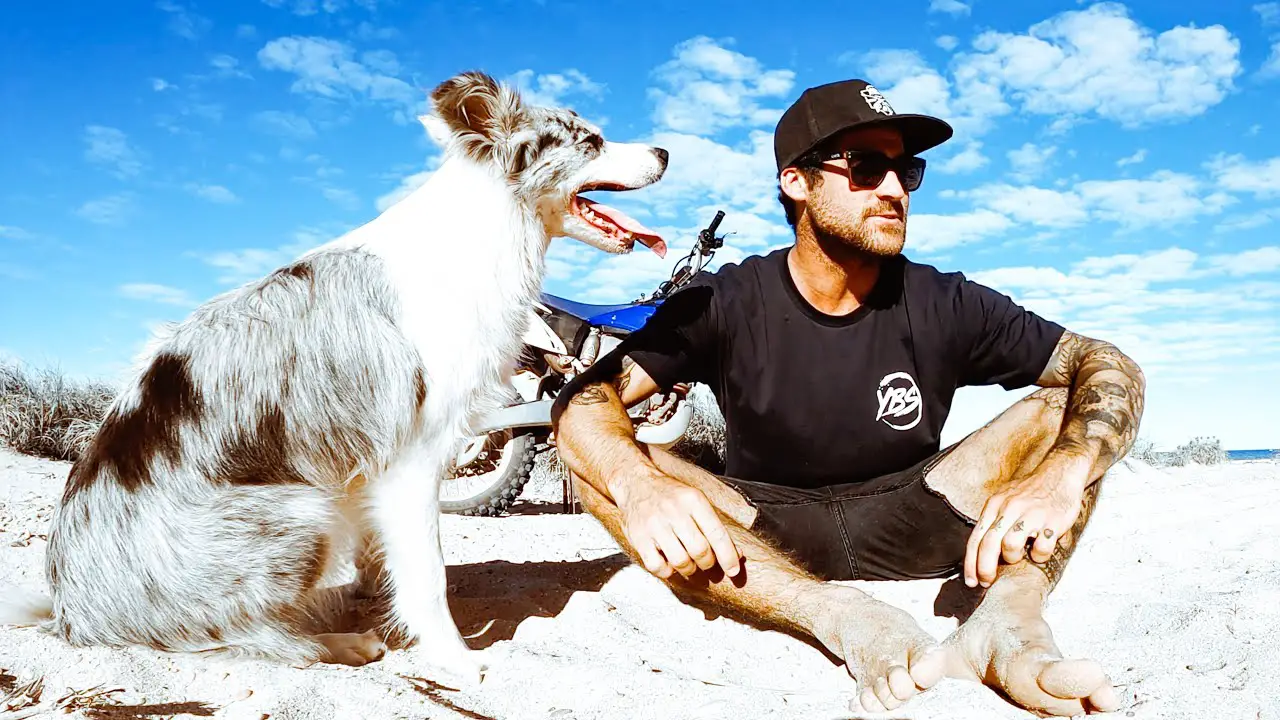 YBS YOUNGBLOODS Things You Need To Know About Brodie Moss and YBS