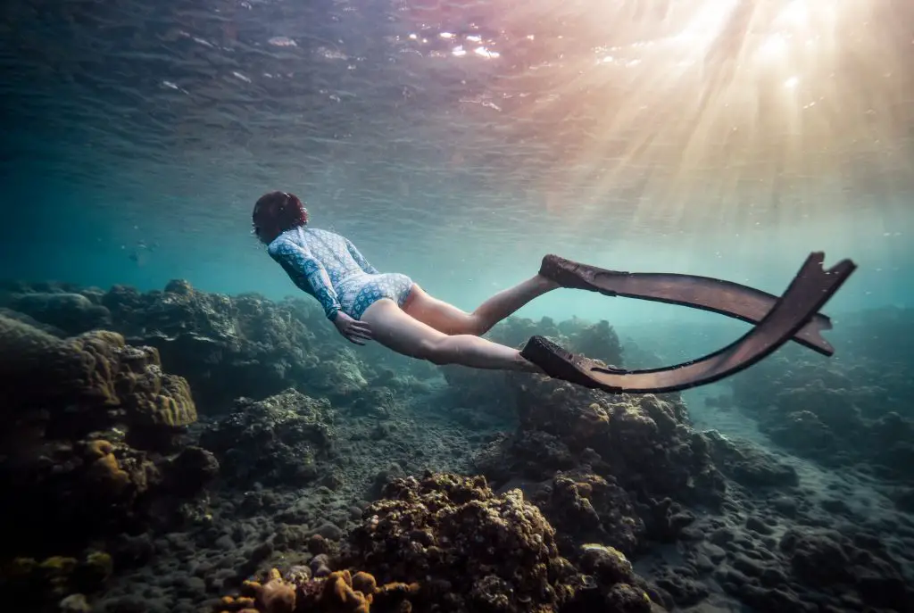 How To Choose The Best Fins For Freediving and Spearfishing