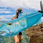 Cavy Fishing Camera